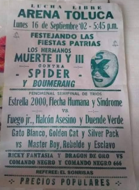 source: http://luchadb.com/posters/uploads/Rob_2026020411/Rob_2026020411_07.png