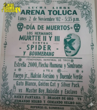 source: http://luchadb.com/posters/uploads/Rob_2026020411/Rob_2026020411_12.png