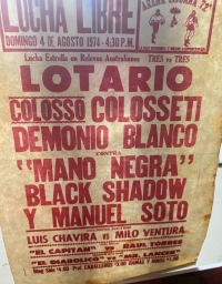 source: http://luchadb.com/posters/uploads/Rob_2026020412/Rob_2026020412_05.png