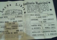 source: http://luchadb.com/posters/uploads/Rob_2026020412/Rob_2026020412_15.png