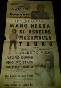 source: http://luchadb.com/posters/uploads/Rob_2026020413/Rob_2026020413_08.png