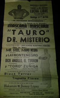 source: http://luchadb.com/posters/uploads/Rob_2026020413/Rob_2026020413_09.png