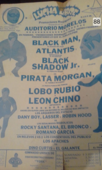 source: http://luchadb.com/posters/uploads/Rob_2026020414/Rob_2026020414_05.png