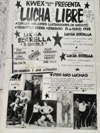 source: http://luchadb.com/posters/uploads/Rob_2026020414/Rob_2026020414_12.png