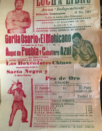 source: http://luchadb.com/posters/uploads/Rob_2026020414/Rob_2026020414_14.png