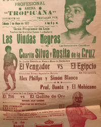 source: http://luchadb.com/posters/uploads/Rob_2026020414/Rob_2026020414_17.png