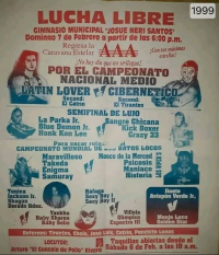 source: http://luchadb.com/posters/uploads/Rob_2026020415/Rob_2026020415_09.png