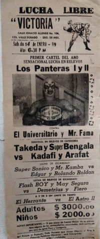 source: http://luchadb.com/posters/uploads/Rob_2026020415/Rob_2026020415_17.png