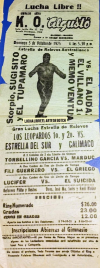 source: http://luchadb.com/posters/uploads/Rob_2026020415/Rob_2026020415_19.png