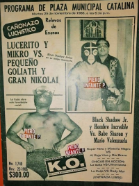 source: http://luchadb.com/posters/uploads/Rob_2026020415/Rob_2026020415_20.png