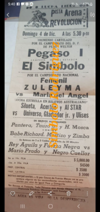 source: http://luchadb.com/posters/uploads/Rob_2026020416/Rob_2026020416_15.png