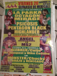 source: http://luchadb.com/posters/uploads/Rob_2026020416/Rob_2026020416_19.png