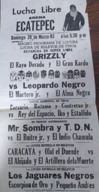 source: http://luchadb.com/posters/uploads/Rob_2026020417/Rob_2026020417_01.png