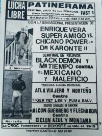 source: http://luchadb.com/posters/uploads/Rob_2026020417/Rob_2026020417_02.png