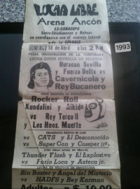 source: http://luchadb.com/posters/uploads/Rob_2026020417/Rob_2026020417_06.png