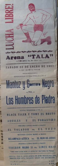 source: http://luchadb.com/posters/uploads/Rob_2026020417/Rob_2026020417_19.png