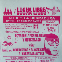 source: http://luchadb.com/posters/uploads/Rob_2026020418/Rob_2026020418_03.png