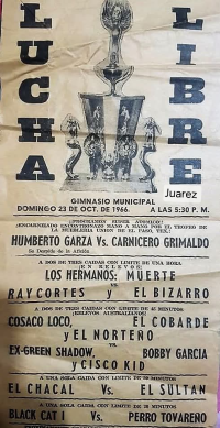 source: http://luchadb.com/posters/uploads/Rob_2026020418/Rob_2026020418_14.png