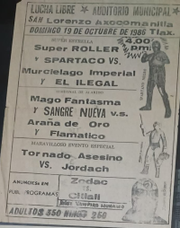 source: http://luchadb.com/posters/uploads/Rob_2026020418/Rob_2026020418_16.png