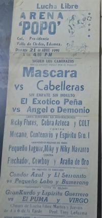 source: http://luchadb.com/posters/uploads/Rob_2026020419/Rob_2026020419_01.png