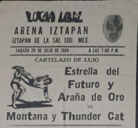 source: http://luchadb.com/posters/uploads/Rob_2026020419/Rob_2026020419_07.png