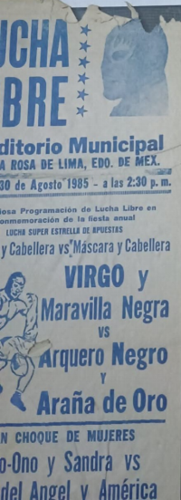 source: http://luchadb.com/posters/uploads/Rob_2026020419/Rob_2026020419_12.png