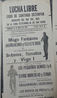 source: http://luchadb.com/posters/uploads/Rob_2026020419/Rob_2026020419_13.png