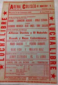 source: http://luchadb.com/posters/uploads/Rob_2026020419/Rob_2026020419_16.png