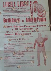 source: http://luchadb.com/posters/uploads/Rob_2026020420/Rob_2026020420_05.png