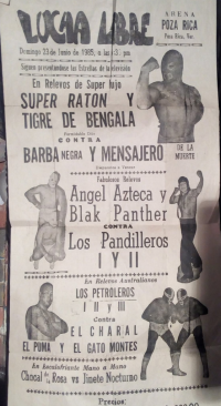 source: http://luchadb.com/posters/uploads/Rob_2026020420/Rob_2026020420_06.png