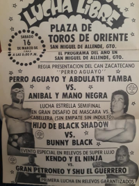 source: http://luchadb.com/posters/uploads/Rob_2026020420/Rob_2026020420_14.png