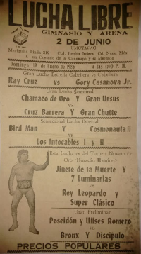 source: http://luchadb.com/posters/uploads/Rob_2026020420/Rob_2026020420_20.png