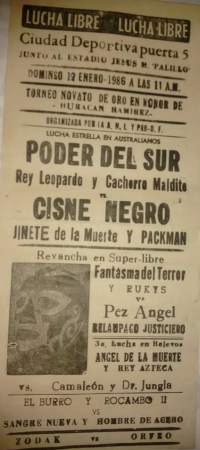 source: http://luchadb.com/posters/uploads/Rob_2026020421/Rob_2026020421_02.png