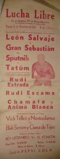 source: http://luchadb.com/posters/uploads/Rob_2026020421/Rob_2026020421_03.png