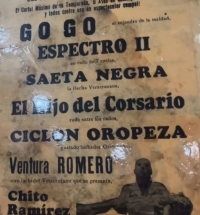 source: http://luchadb.com/posters/uploads/Rob_2026020421/Rob_2026020421_13.png