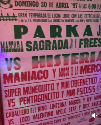 source: http://luchadb.com/posters/uploads/Rob_2026020421/Rob_2026020421_09.png