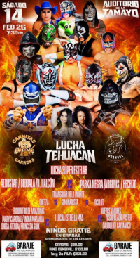 source: http://luchadb.com/posters/uploads/2026020901/20260209_06.png