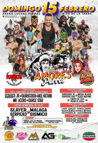 source: http://luchadb.com/posters/uploads/2026020901/20260209_13.png