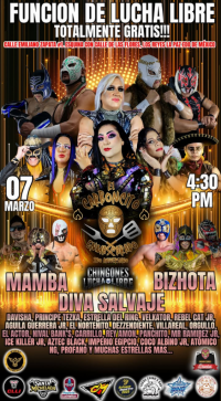 source: http://luchadb.com/posters/uploads/2026021001/20260210_04.png