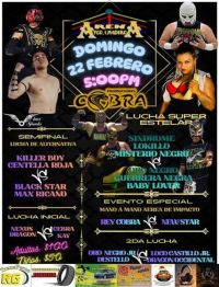 source: http://luchadb.com/posters/uploads/2026021201/20260212_10.png