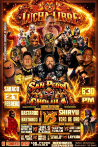 source: http://luchadb.com/posters/uploads/2026022201/20260222_08.png