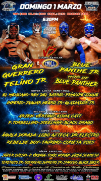 source: http://luchadb.com/posters/uploads/2026022403/20260224_08.png