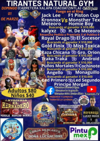 source: http://luchadb.com/posters/uploads/2026022701/20260227_07.png