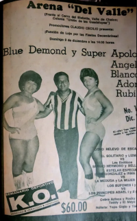 source: https://luchadb.com/posters/uploads/2026030205/20260302_02.png