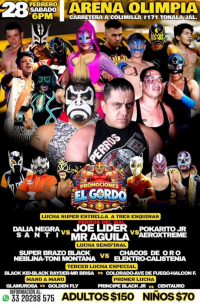 source: http://luchadb.com/posters/uploads/2026022801/20260228_15.png