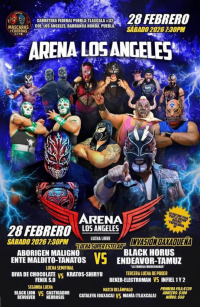 source: http://luchadb.com/posters/uploads/2026030101/20260301_12.png