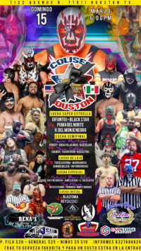 source: http://luchadb.com/posters/uploads/2026031203/20260312_09.png