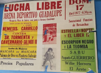 source: http://luchadb.com/posters/uploads/Rob_2026031301/Rob_2026031301_04.png