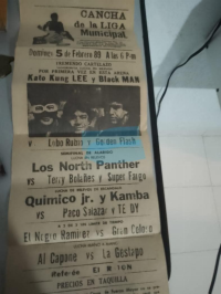 source: http://luchadb.com/posters/uploads/Rob_2026031301/Rob_2026031301_06.png