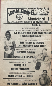 source: http://luchadb.com/posters/uploads/Rob_2026031301/Rob_2026031301_15.png